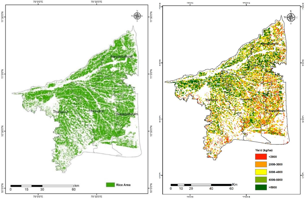Crop Area and Yield Estimation